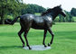 مجسمه های بزرگ برنز اسب، مجسمه های برنزی در فضای باز طراحی اسب های عتیقه تامین کننده
