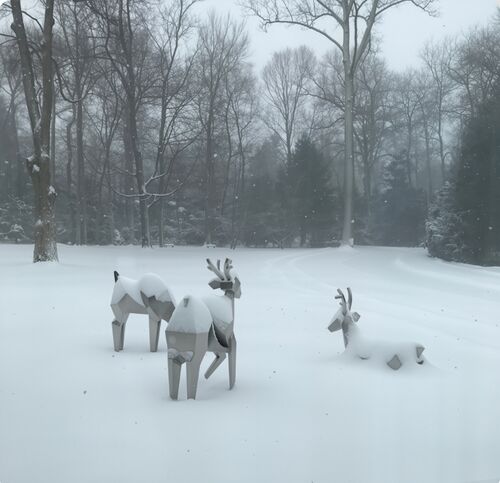 آخرین وبلاگ های شرکت در مورد گله بلورین: جایی که طبیعت با هندسه تلاقی می‌کند