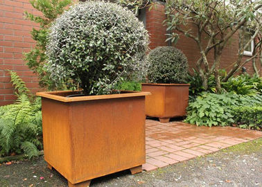 قیمت خوب گلدان گلدان مدرن شیک / گلدان گلدان فلزی / گیاهان Square Metal Garden Corten فولاد آنلاین