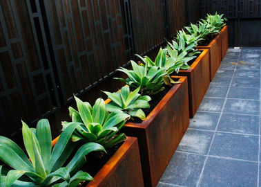 قیمت خوب کاشت باغ مربع متداول در فضای باز Corten یک ماده 50cm ارتفاع آنلاین